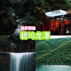 泽家·花园餐厅(十年的店) User Photo