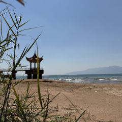 合院餐厅地主家 User Photo