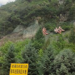 秦岭服务区-餐厅 User Photo