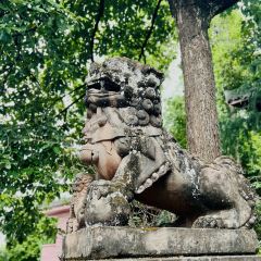 中国柠檬小镇 여행 사진