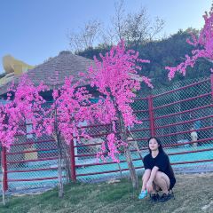 安吉云上草原·1168星空天文酒店·雪具大厅餐厅 User Photo