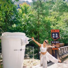 Wiwild逃离计划1·溪谷咖啡(泰顺店) User Photo