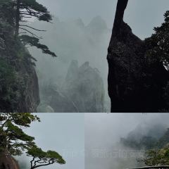 英姐小吃張用戶圖片