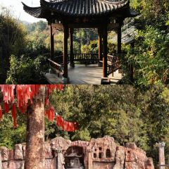 Zha Xi's Bistro User Photo