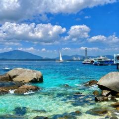 瑞丰椰子鸡 User Photo