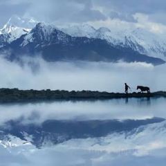 阿妈家特色藏餐(九寨沟店) User Photo