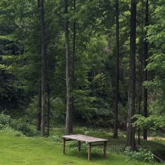 YUNYA COFFEE User Photo