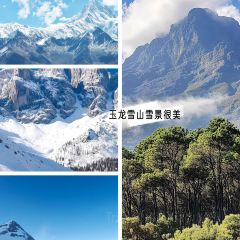 KARZAI JAS TOAST MANOR User Photo