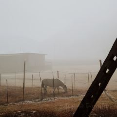 黑豆咖啡屋 User Photo