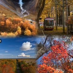 林海雪缘铁锅炖 User Photo