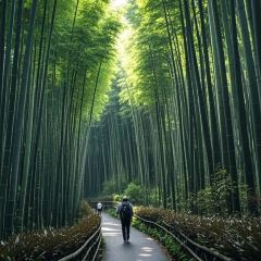 lao hui long mian guan User Photo