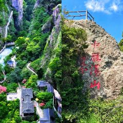 遂昌乐领旗山侠隐庄园·悬崖咖啡馆 User Photo