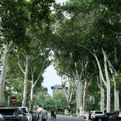 孙家糖油条 User Photo