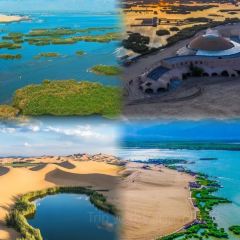 老马家羊杂碎店 User Photo