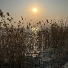 YAO WAN CHUAN CAI User Photo