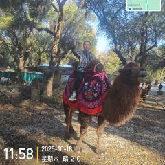 天山天池民俗风情园 User Photo