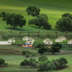 PRAIRIE BARBECUE User Photo