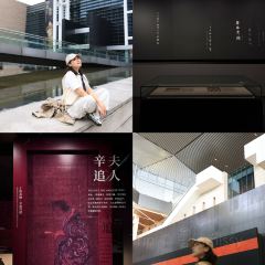 田小狗的饭店(碧桂园店) User Photo