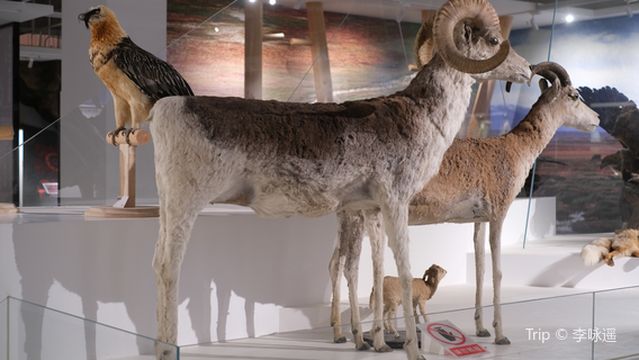 Pamir Culture Expo Park