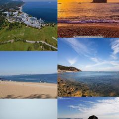 ROYAL OCEAN User Photo