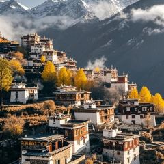 JUN WANG FU User Photo