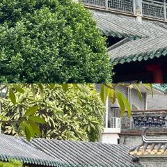 FengCheng ShuangPi Nai User Photo