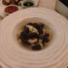 The Starry Frantier Bund Outlet User Photo