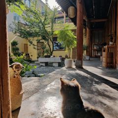 心邸咖啡張用戶圖片