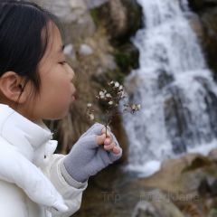 云味餐厅 User Photo