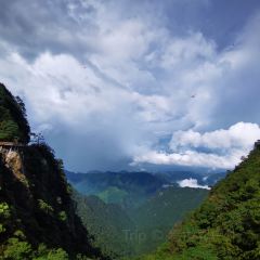 莽山天台山美食 User Photo