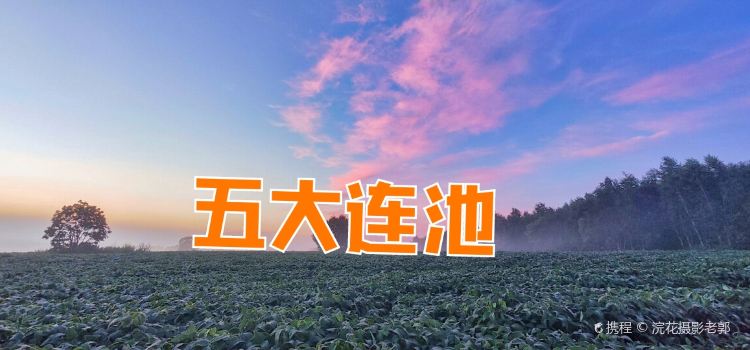 王毛驴豆腐坊