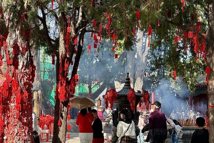 胖子鱼·鲜鱼火锅(全国总店)