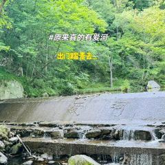 香山园农家饭庄 User Photo