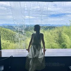 笋厂里生态餐厅 User Photo