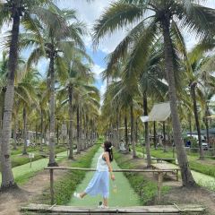 Yook Samai User Photo