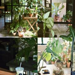 千禧坊(阿尔卡迪亚店) User Photo