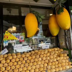 Phed Mark User Photo