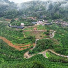 南坑咖啡观赏园 User Photo