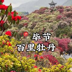 Zhou yu de yu · wan feng lin guan pu restaurant User Photo