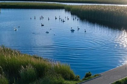 The Black Horse Hotel Restaurant