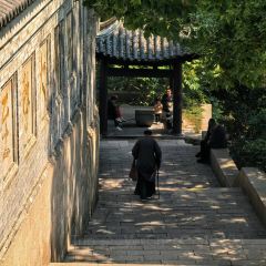 狼山紫琅素面 User Photo