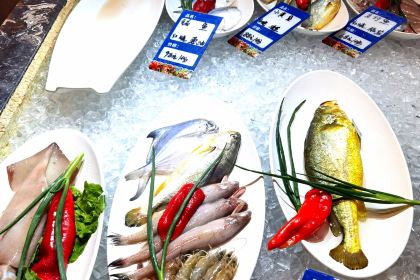 江南春天美食坊(北斗星城店)