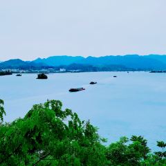 新月集星舟咖啡馆 User Photo