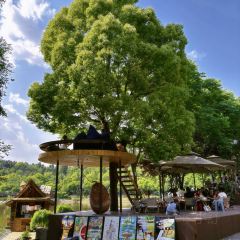 南泊湾红房子生态庄园(二环路店) User Photo