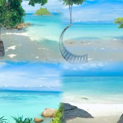 Tutu Beach User Photo