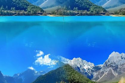 Forest Factory Party