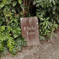 Little Tree Restaurant User Photo