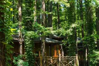 哎呀妈妈哟岚山豆腐木柴大锅鱼