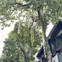 歙县古城小吃一条街 User Photo