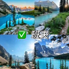 新大漠红柳烤肉餐厅 User Photo